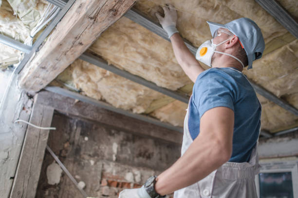 Best Specialty Insulation in Warner Robins, GA